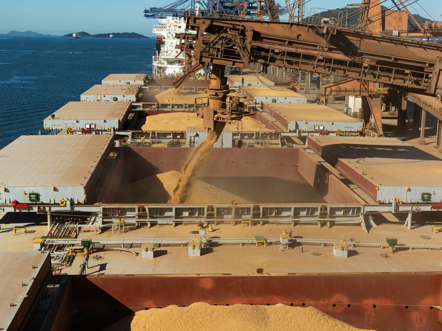 Grain loading into the open cargo holds of a bulk carrier at a terminal